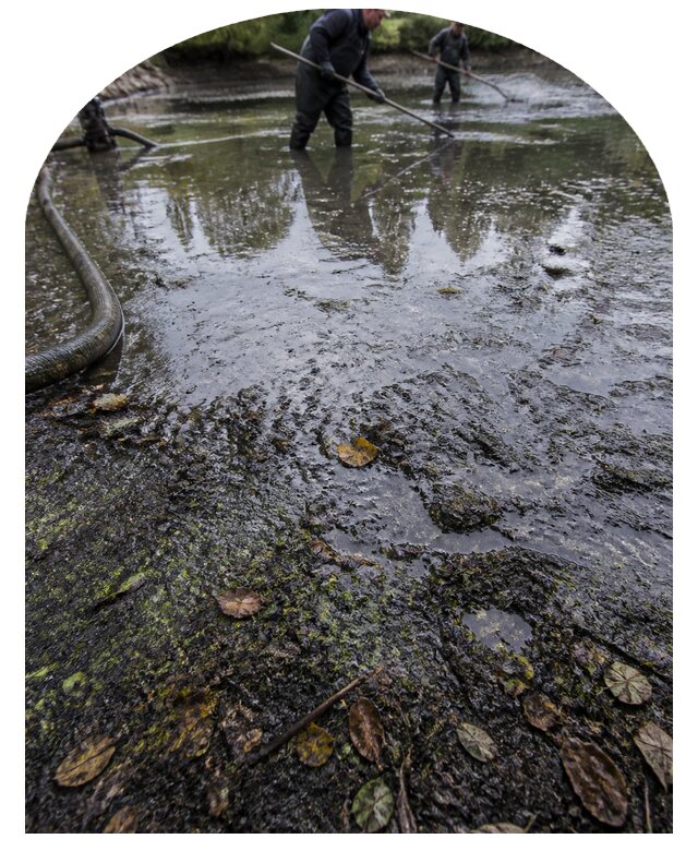 Очистка пруда в Костомукше от ила мусора и водорослей с вывозом